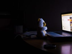 bear and computer at night