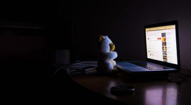 bear and computer at night