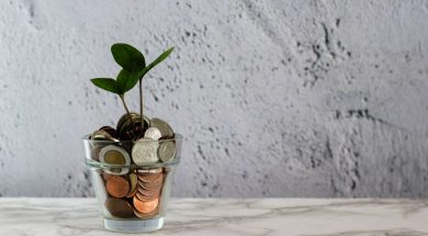Plant-growing-in-cup-of-coins.jpg